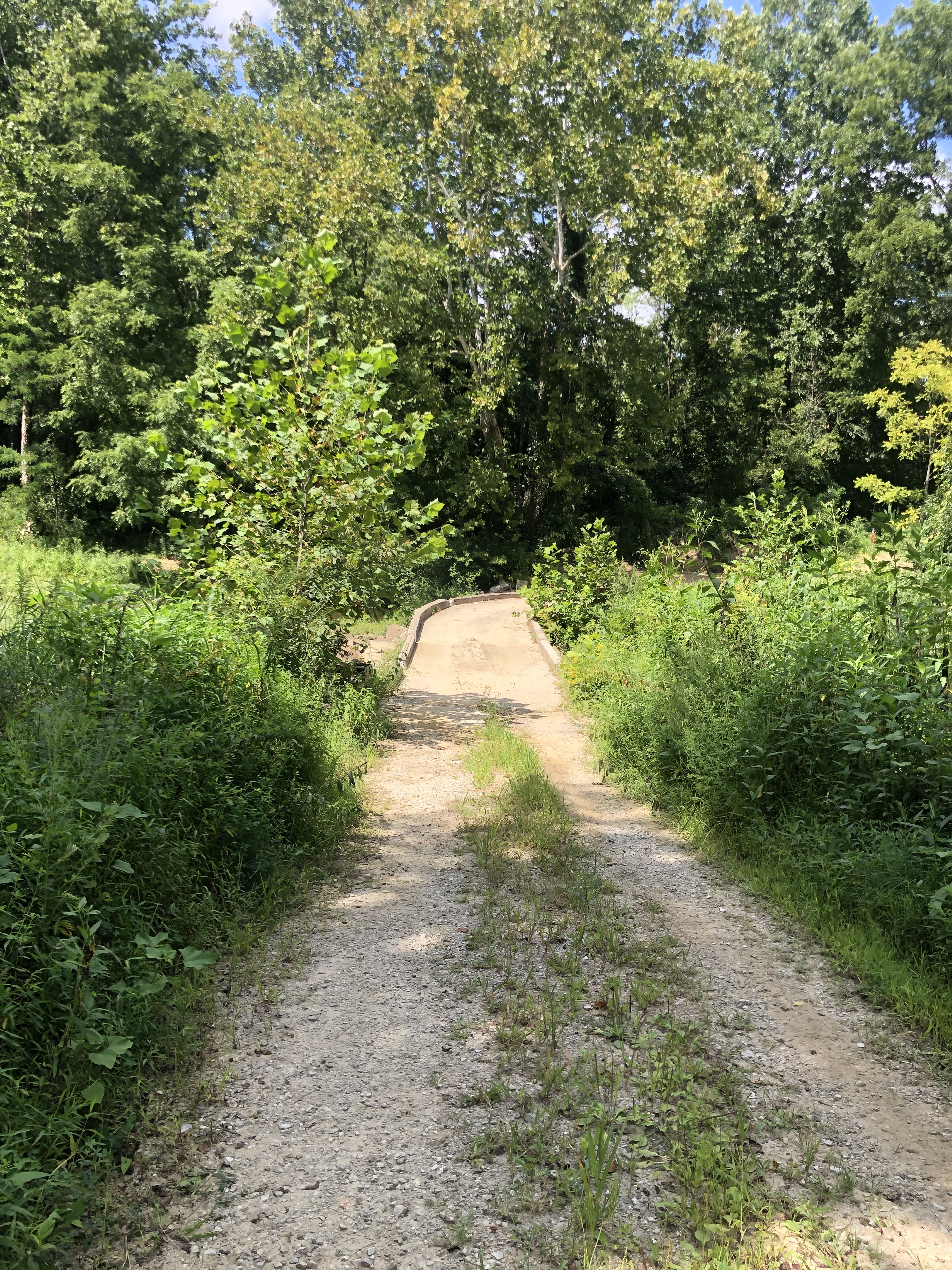 Indian Hill Rd Creek Crossing Concrete Slab