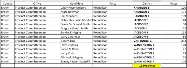 brown county 2020 precinct elections