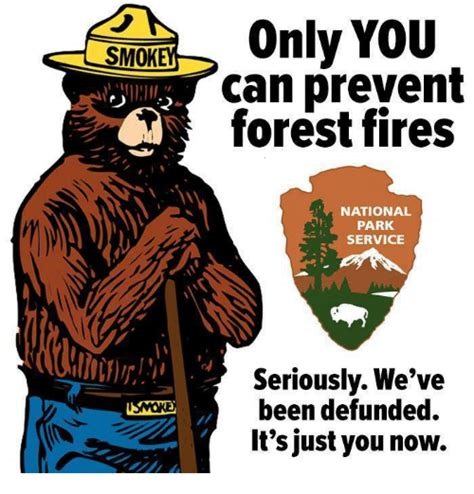 smokey bear only you