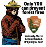 smokey bear only you